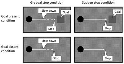 Explicit Sense of Agency in an Automatic Control Situation: Effects of Goal-Directed Action and the Gradual Emergence of Outcome